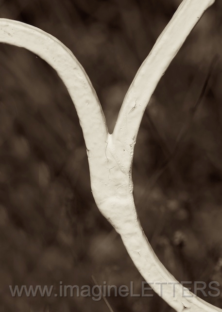 Wall_Art_Alphabet_Photography_Art_ 2537.jpg